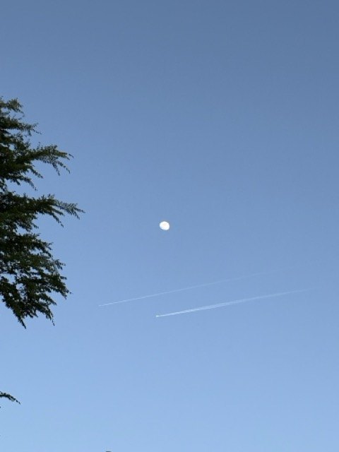 Moon in the sky